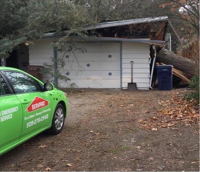 Windstorm Topples Tree Onto Garage