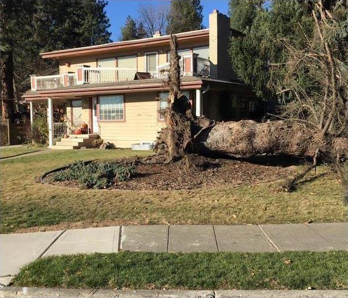 Giant tree falls in front yard damaging balcony