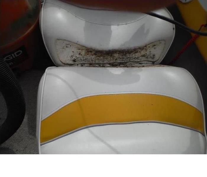 Mold damage to boat upholstery