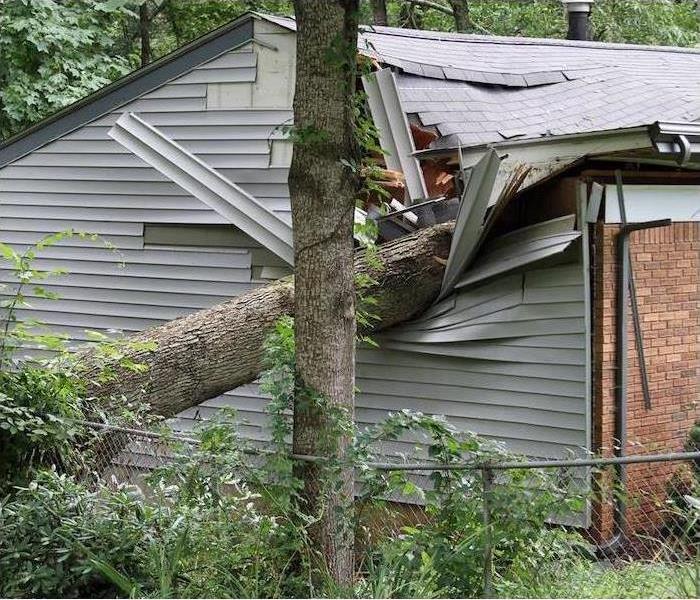 fallen tree smashes roof of home