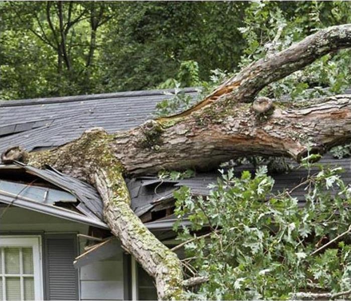 Tree fallen on Spokane home